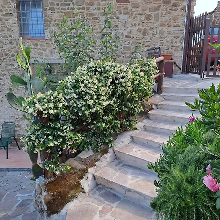 Rustico La Tinaia Villa