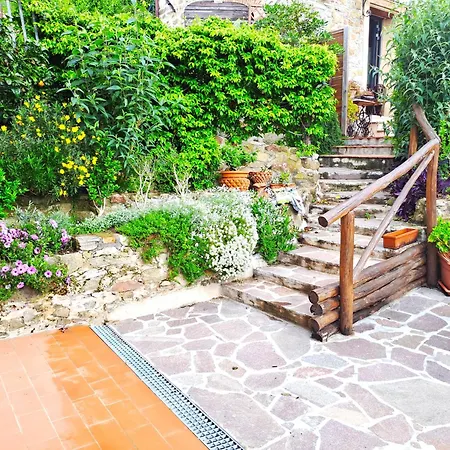 Villa Rustico La Tinaia Montigiano