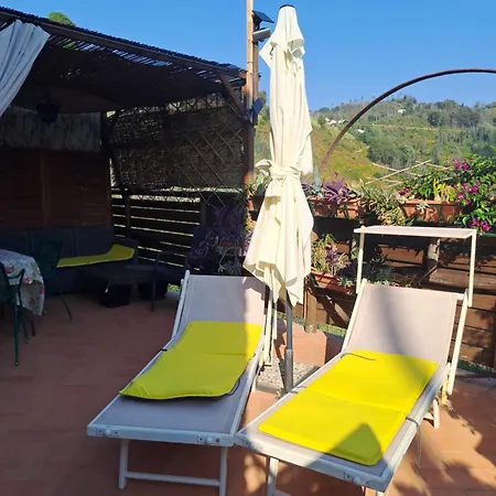 Rustico La Tinaia Montigiano